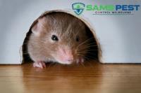 SAMS Rodent Control Melbourne image 1